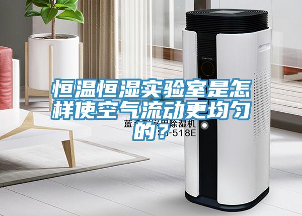 恒溫恒濕實驗室是怎樣使空氣流動更均勻的？