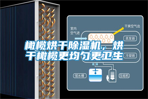 橄欖烘幹杏仁视频APP成人官方污，烘幹橄欖更均勻更衛生