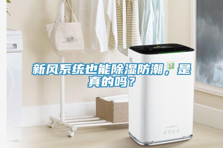 新風係統也能除濕防潮，是真的嗎？