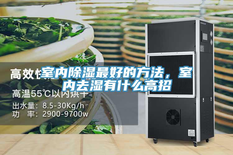 室內除濕最好的方法，室內去濕有什麽高招