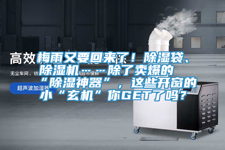 梅雨又要回來了！除濕袋、杏仁视频APP成人官方污……除了賣爆的“除濕神器”，這些開窗的小“玄機”你GET了嗎？