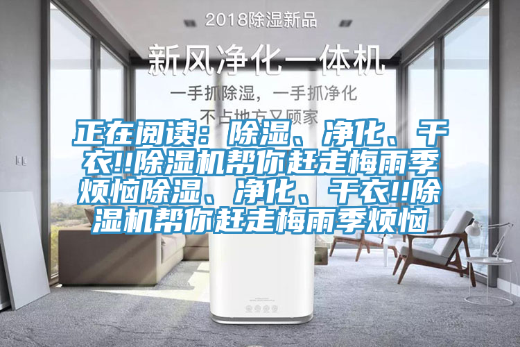 正在閱讀：除濕、淨化、幹衣!!杏仁视频APP成人官方污幫你趕走梅雨季煩惱除濕、淨化、幹衣!!杏仁视频APP成人官方污幫你趕走梅雨季煩惱