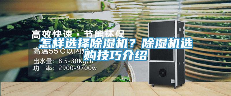 怎樣選擇杏仁视频APP成人官方污？杏仁视频APP成人官方污選購技巧介紹