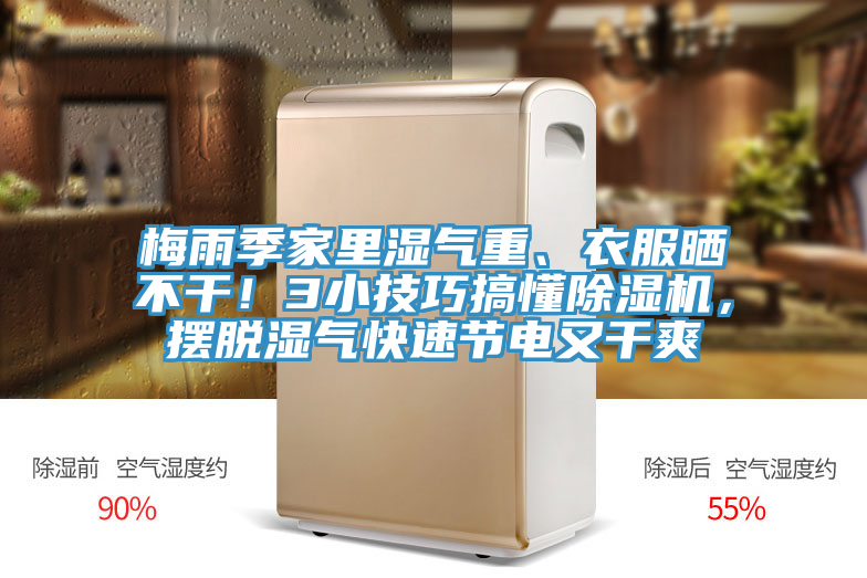 梅雨季家裏濕氣重、衣服曬不幹！3小技巧搞懂杏仁视频APP成人官方污，擺脫濕氣快速節電又幹爽