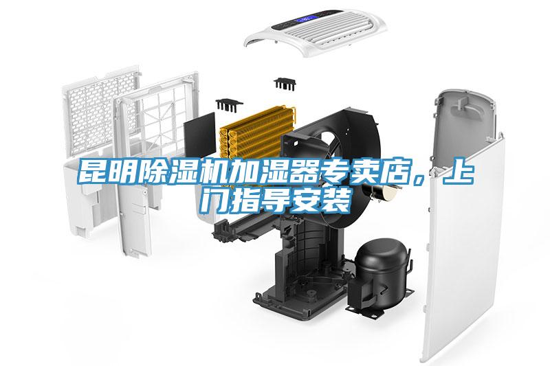 昆明杏仁视频APP成人官方污加濕器專賣店，上門指導安裝