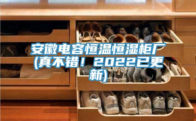 安徽電容恒溫恒濕櫃廠(真不錯！2022已更新)