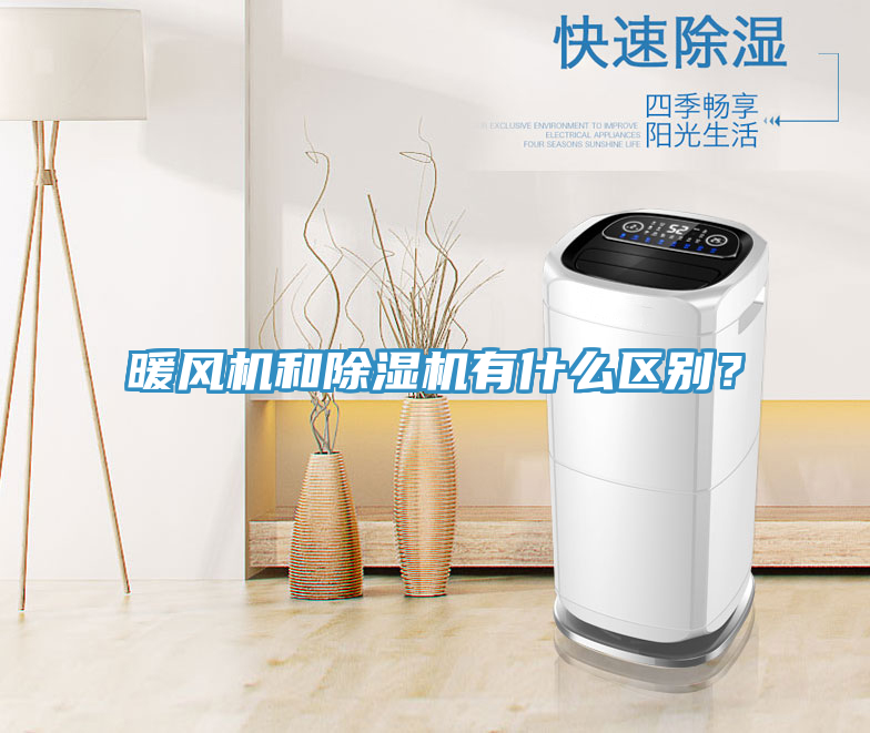 暖風機和杏仁视频APP成人官方污有什麽區別？