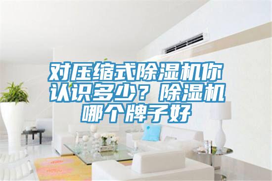對壓縮式杏仁视频APP成人官方污你認識多少？杏仁视频APP成人官方污哪個牌子好