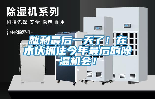 就剩最後一天了！在末伏抓住今年最後的杏仁视频APP成人官方污會！