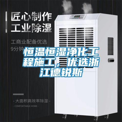 恒溫恒濕淨化工程施工，優選浙江德銳斯