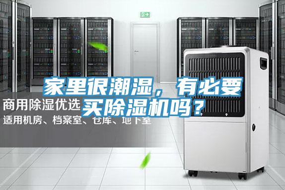 家裏很潮濕，有必要買杏仁视频APP成人官方污嗎？