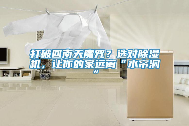 打破回南天魔咒？選對杏仁视频APP成人官方污，讓你的家遠離“水簾洞”