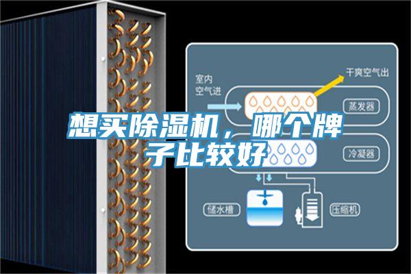 想買杏仁视频APP成人官方污，哪個牌子比較好