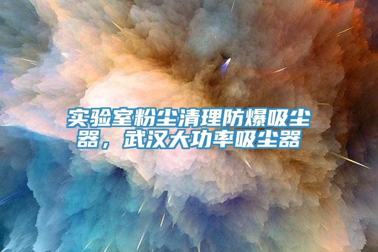 實驗室粉塵清理防爆吸塵器，武漢大功率吸塵器