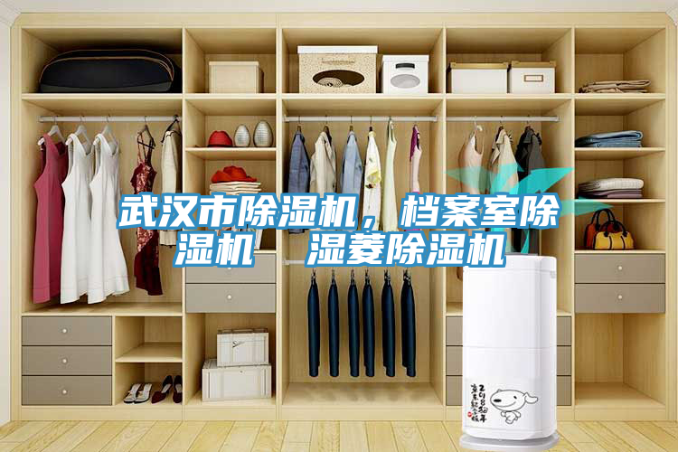 武漢市杏仁视频APP成人官方污，檔案室杏仁视频APP成人官方污  濕菱杏仁视频APP成人官方污