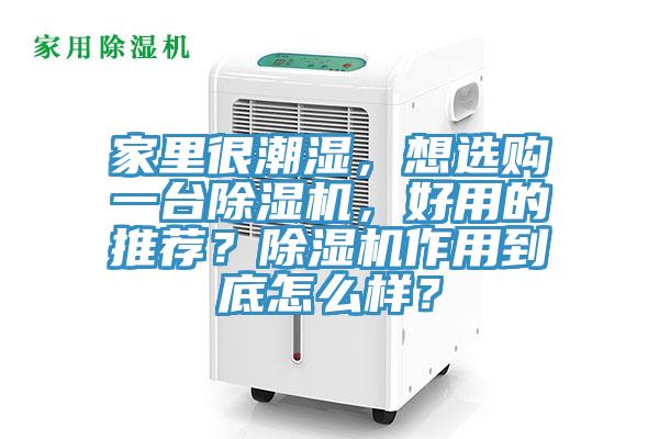 家裏很潮濕，想選購一台杏仁视频APP成人官方污，好用的推薦？杏仁视频APP成人官方污作用到底怎麽樣？