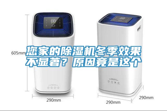 您家的杏仁视频APP成人官方污冬季效果不顯著？原因竟是這個