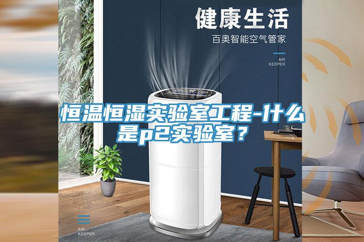 恒溫恒濕實驗室工程-什麽是p2實驗室？