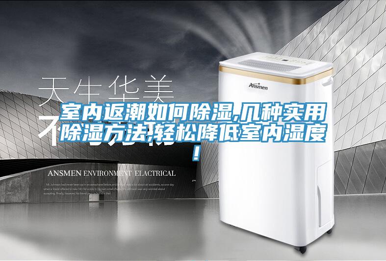 室內返潮如何除濕,幾種實用除濕方法,輕鬆降低室內濕度！