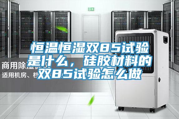 恒溫恒濕雙85試驗是什麽，矽膠材料的雙85試驗怎麽做