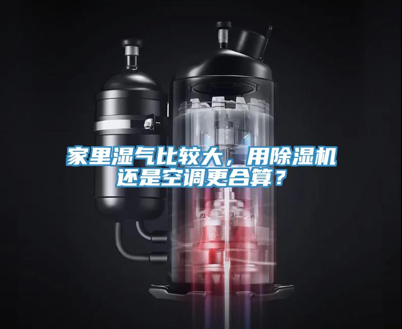 家裏濕氣比較大，用杏仁视频APP成人官方污還是空調更合算？