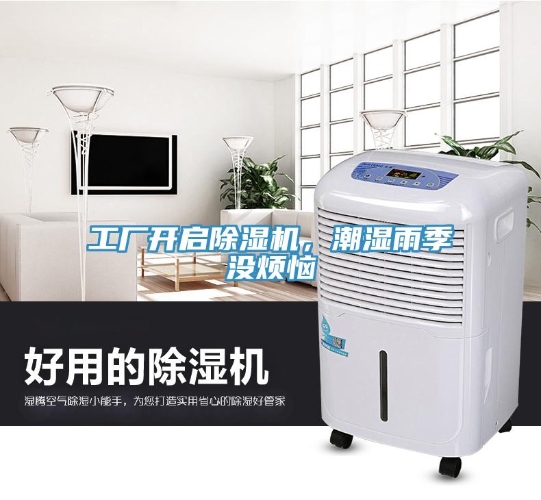 工廠開啟杏仁视频APP成人官方污，潮濕雨季沒煩惱