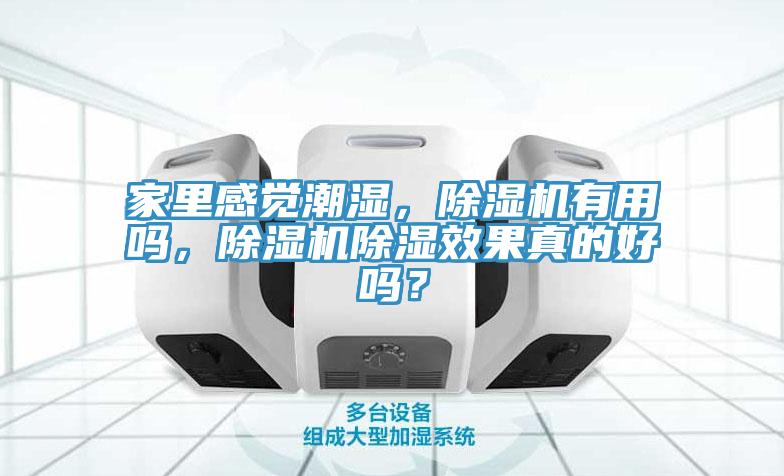 家裏感覺潮濕，杏仁视频APP成人官方污有用嗎，杏仁视频APP成人官方污除濕效果真的好嗎？