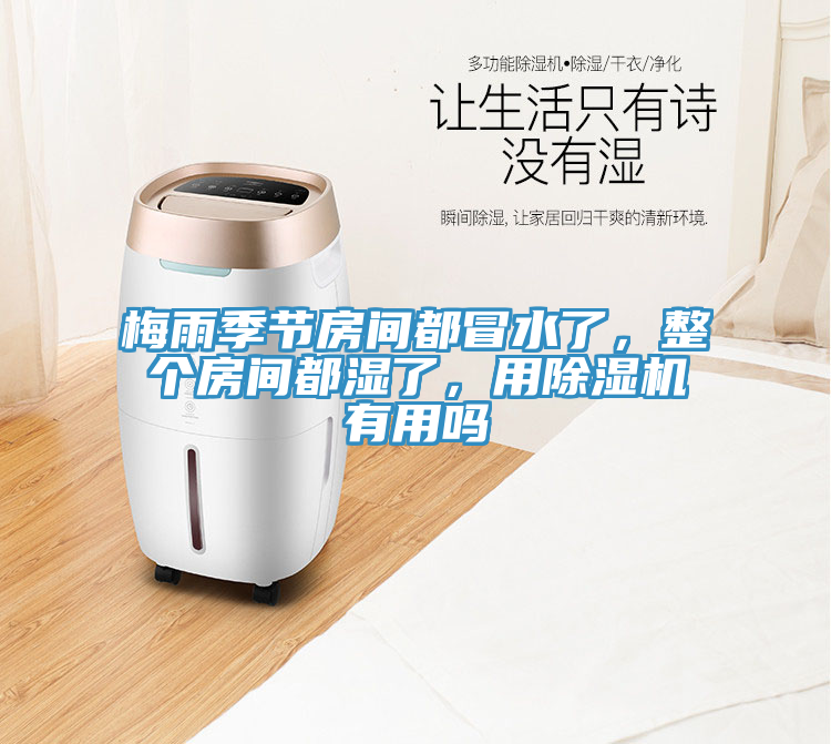 梅雨季節房間都冒水了，整個房間都濕了，用杏仁视频APP成人官方污有用嗎