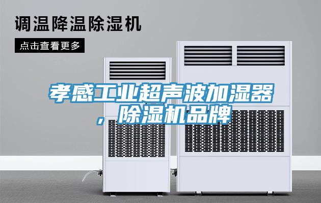 孝感工業超聲波加濕器，杏仁视频APP成人官方污品牌