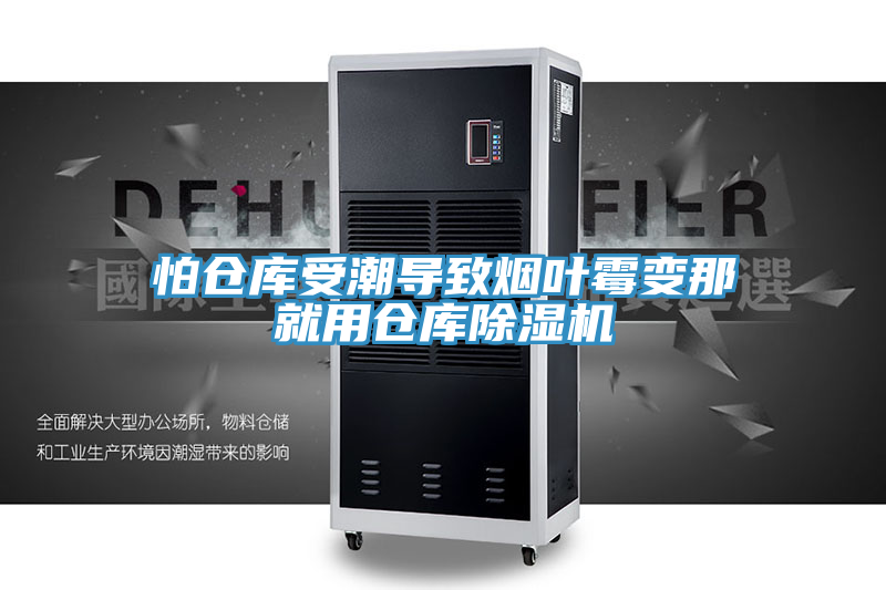 怕倉庫受潮導致煙葉黴變那就用倉庫杏仁视频APP成人官方污