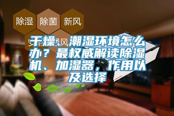 幹燥、潮濕環境怎麽辦？最權威解讀杏仁视频APP成人官方污、加濕器，作用以及選擇