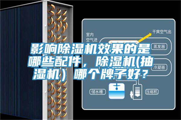 影響杏仁视频APP成人官方污效果的是哪些配件，杏仁视频APP成人官方污(抽濕機）哪個牌子好？