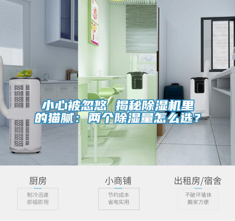 小心被忽悠 揭秘杏仁视频APP成人官方污裏的貓膩：兩個除濕量怎麽選？