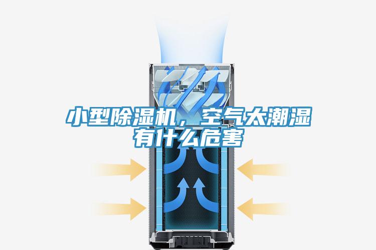 小型杏仁视频APP成人官方污，空氣太潮濕有什麽危害