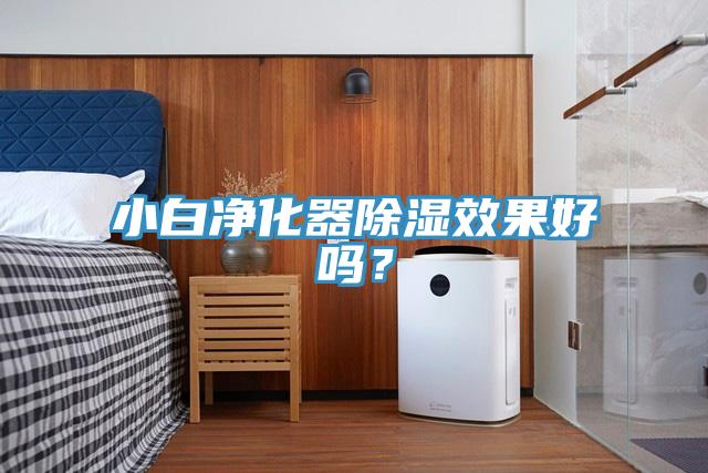 小白淨化器除濕效果好嗎？