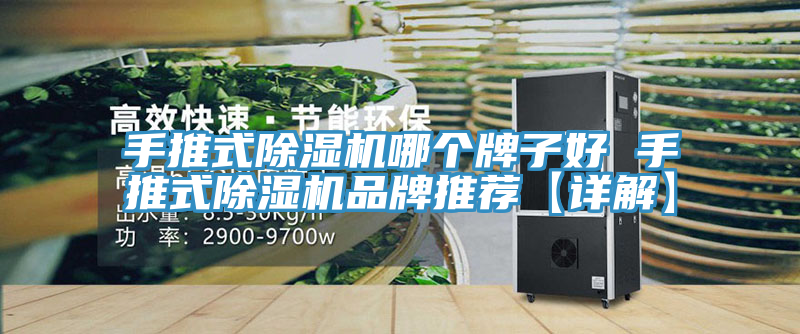 手推式杏仁视频APP成人官方污哪個牌子好 手推式杏仁视频APP成人官方污品牌推薦【詳解】