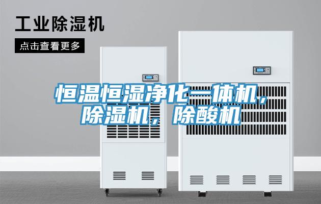 恒溫恒濕淨化一體機，杏仁视频APP成人官方污，除酸機
