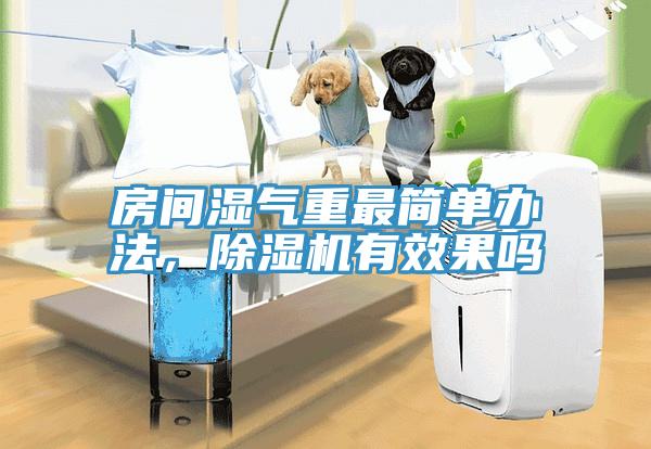 房間濕氣重最簡單辦法，杏仁视频APP成人官方污有效果嗎