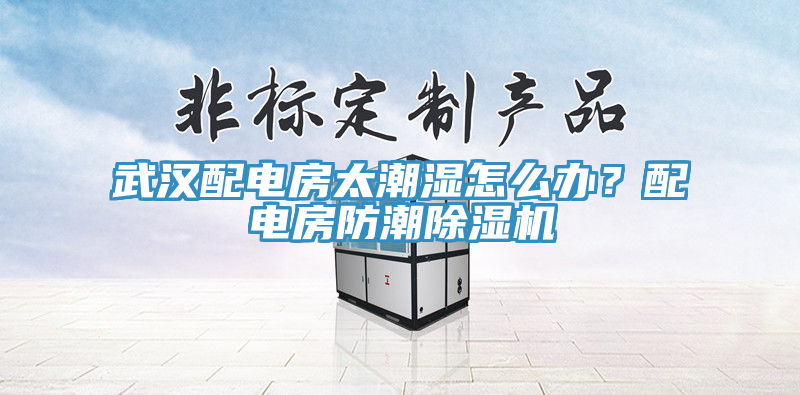 武漢配電房太潮濕怎麽辦？配電房防潮杏仁视频APP成人官方污