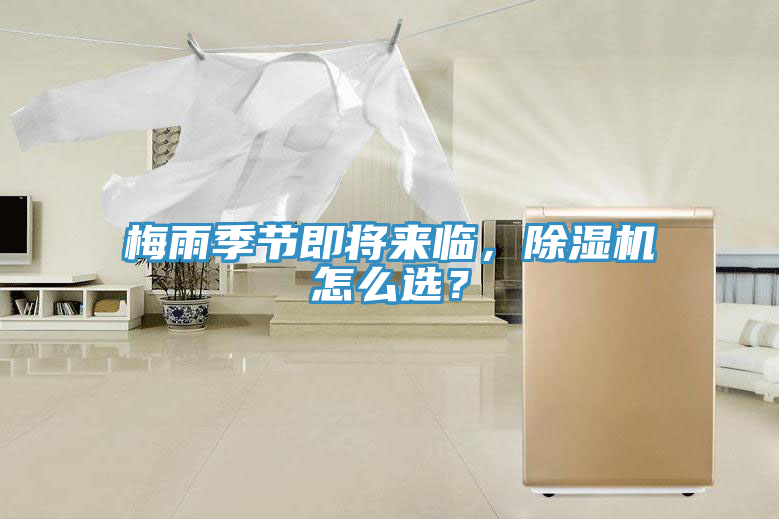 梅雨季節即將來臨，杏仁视频APP成人官方污怎麽選？