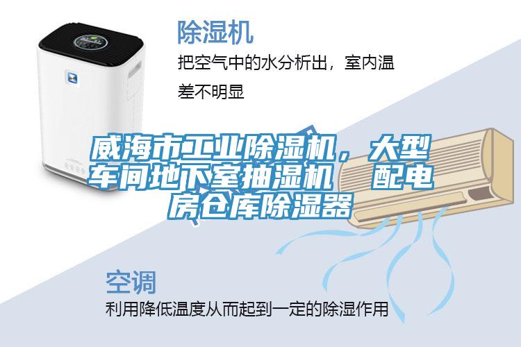 威海市工業杏仁视频APP成人官方污，大型車間地下室抽濕機  配電房倉庫除濕器