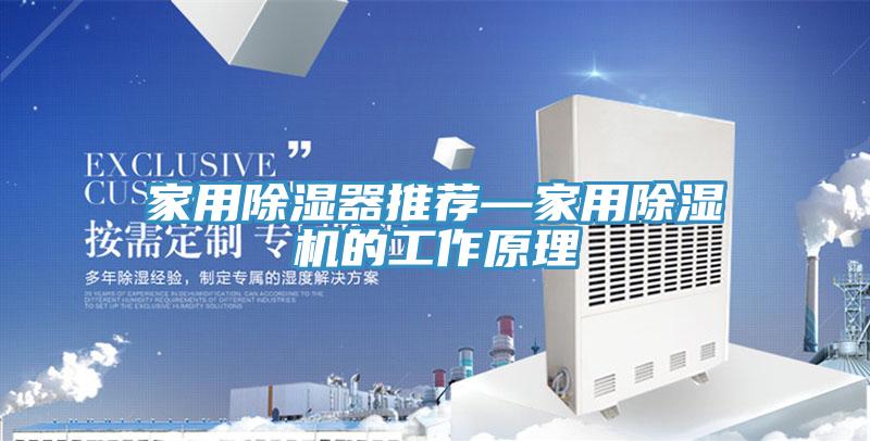 家用除濕器推薦—家用杏仁视频APP成人官方污的工作原理