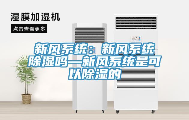 新風係統：新風係統除濕嗎—新風係統是可以除濕的