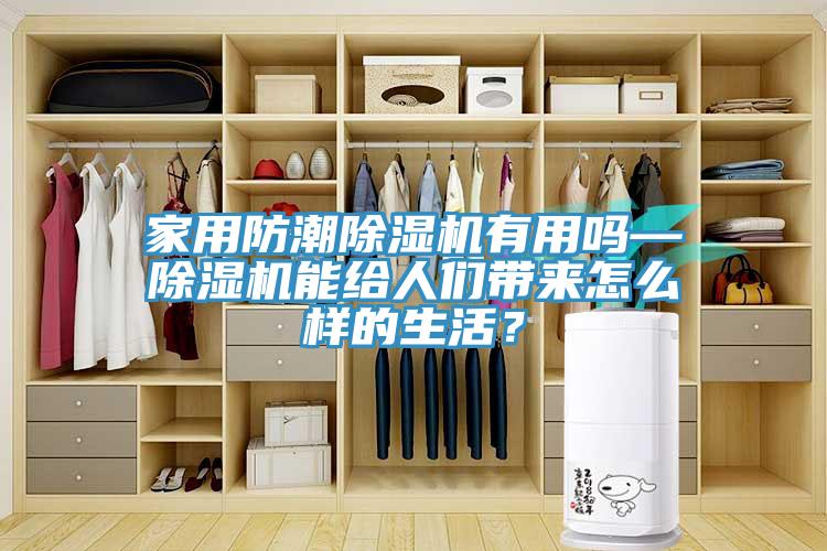 家用防潮杏仁视频APP成人官方污有用嗎—杏仁视频APP成人官方污能給人們帶來怎麽樣的生活？