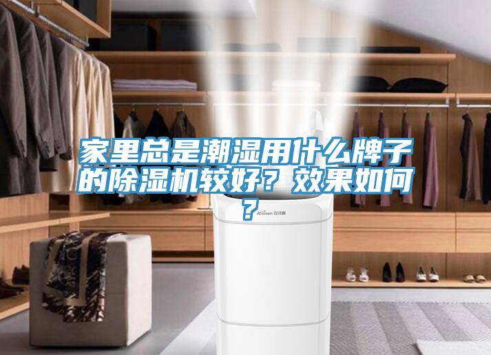 家裏總是潮濕用什麽牌子的杏仁视频APP成人官方污較好？效果如何？