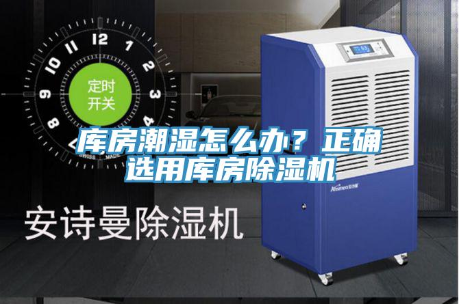 庫房潮濕怎麽辦？正確選用庫房杏仁视频APP成人官方污