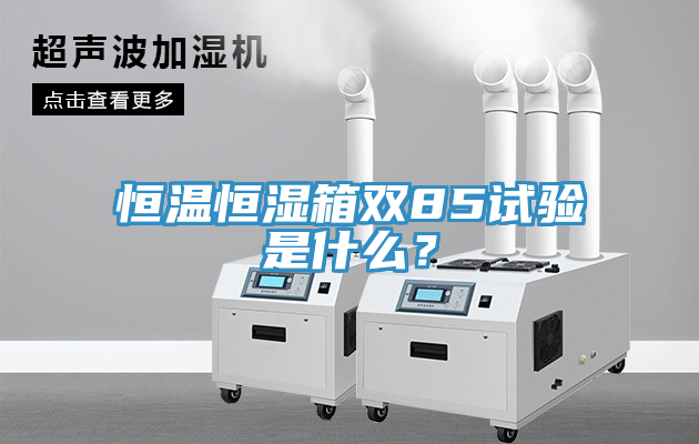 恒溫恒濕箱雙85試驗是什麽？