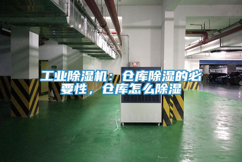 工業杏仁视频APP成人官方污：倉庫除濕的必要性，倉庫怎麽除濕