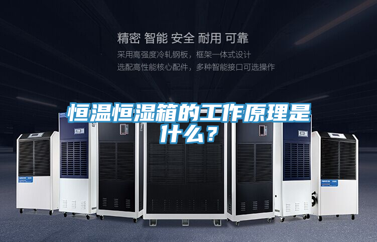 恒溫恒濕箱的工作原理是什麽？