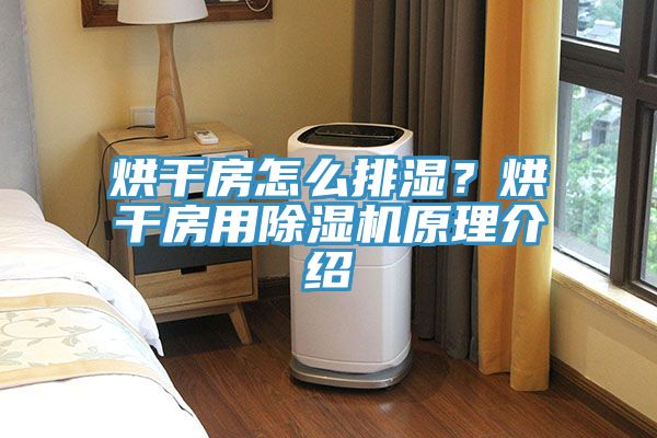 烘幹房怎麽排濕？烘幹房用杏仁视频APP成人官方污原理介紹